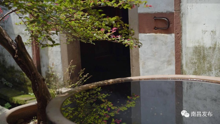 梦探幽境，自家院子下的古老秘密与古董之谜