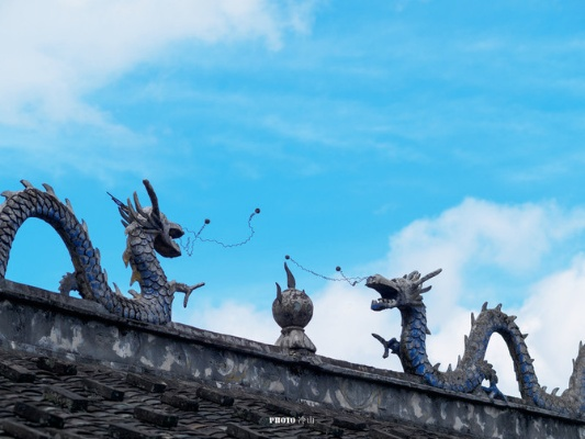 梦境中的奇幻之旅，红蛇攀顶与蓝龙升天