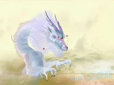 今早上梦见一条龙落在我家门口在下雪天，寓意与解析