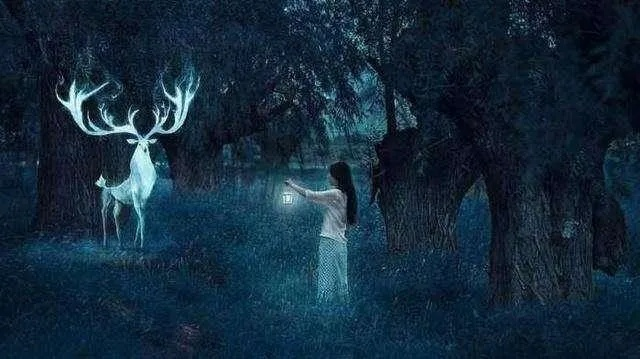 梦境奇遇，死而复生赠犬，寓意何在？