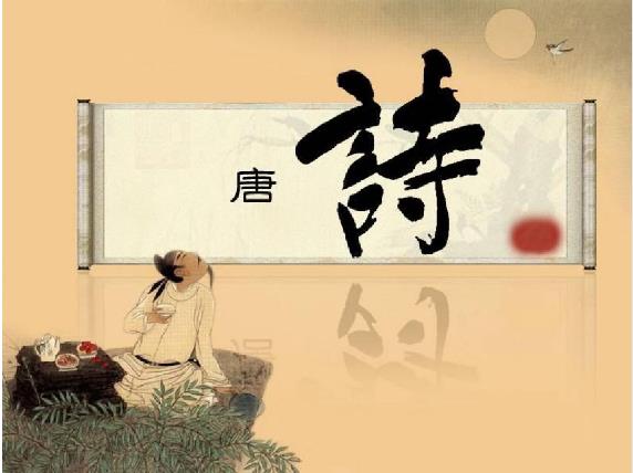 梦见巨大黑蜘蛛，探索梦境背后的深层含义与心理解析