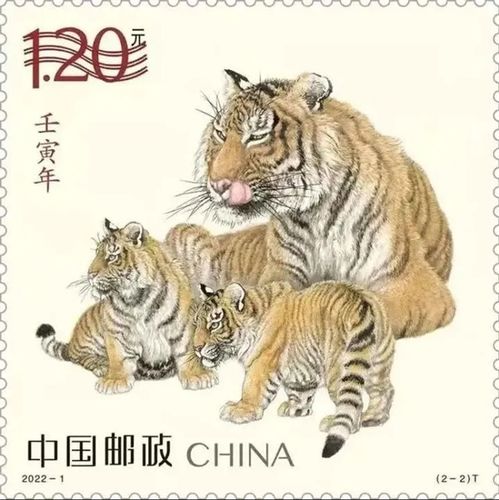 梦见家里养了只小老虎，探索梦境背后的深层预兆