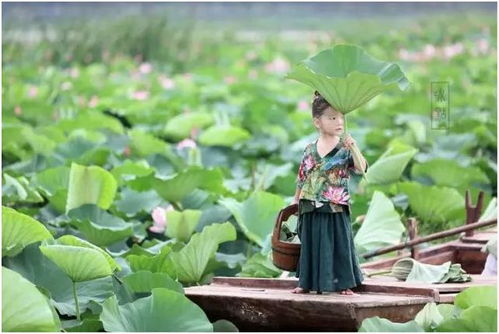 孕妇梦见粽子是男孩还是女孩，梦境与现实的交织