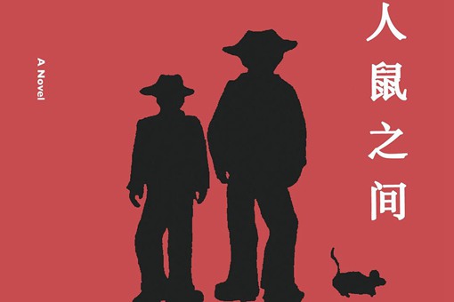 梦境解析，朋友变鼠的深层含义