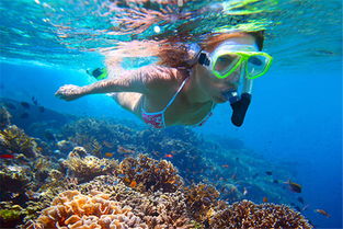 梦见和别人潜水在浅水处，先被螃蟹夹脚，再被乌龟夹住脚——梦境解析与心理暗示