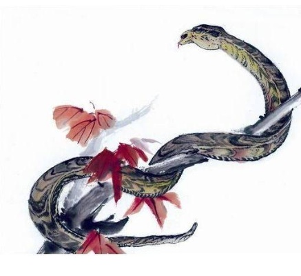 蛇年首梦，杀蛇遇助却失手，见血预兆何吉凶？