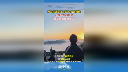 梦境与现实交织，为何梦中亲戚孩子还我两万，而我却未曾借出？