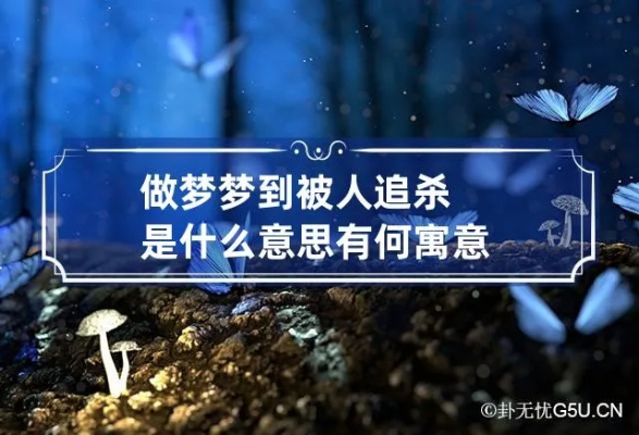梦见自己被人追杀，探索梦境背后的深层含义与心理解析