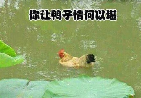 昨晚梦见我掉进蛇窝，挣扎中惊醒，是凶兆还是吉兆？
