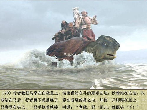 梦见通天河老龟和晒经石了，探寻梦境深处的智慧与启示