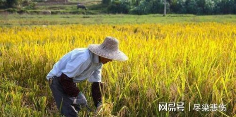 周公解梦，梦见父亲生死轮回，买镰割草寓意深远