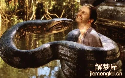 梦境解析，朋友梦见我在水池中被一个人面蛇身的怪物咬
