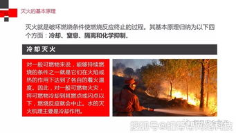 梦到我送领导一条香烟，解读职场潜意识的微妙信号