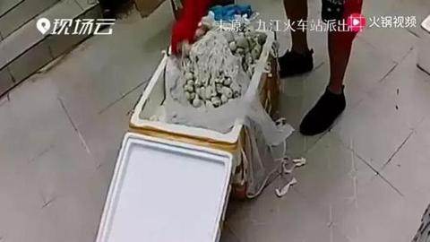 做梦梦见蛇大肚子生了一堆蛇蛋，解读梦境中的神秘寓意
