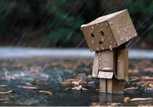 解梦，梦见在大雨中追别人，寓意与解析