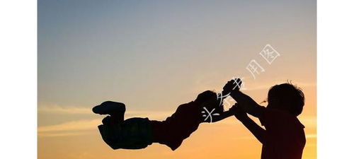 梦境中的牺牲与自我反思，解析梦见有人为我打架死掉了