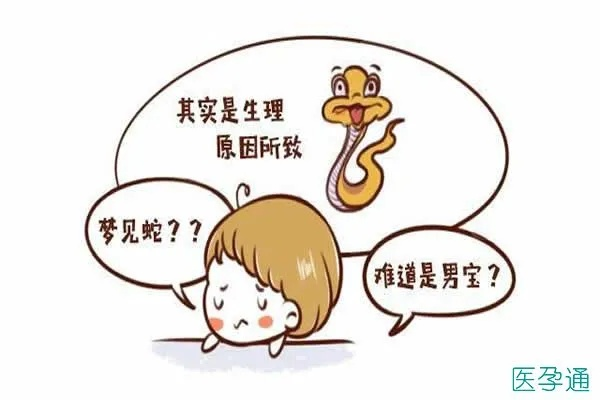 女孩子梦到蛇了，一定是怀孕了吗？解析梦境中的神秘符号