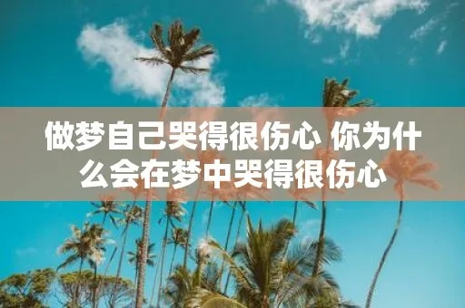 在梦里梦见自己哭得好厉害，情感深处的释放与心灵深处的启示