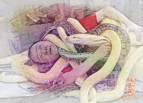 梦境中的纠缠，蛇的隐喻与内心挣扎的解析