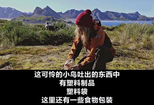 我经常梦到已过世的母亲，探寻梦境背后的情感与意义