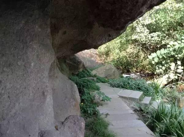 梦见黑蛇在水里对着我吐舌头，潜意识的警示与启示