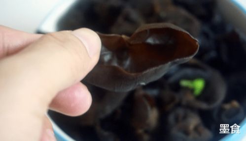 梦境交织，解析梦见前夫的小老婆腿断了的深层含义