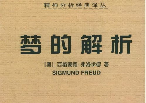 昨晚上我梦见挪坟了，探索梦境背后的深层含义与心理解析