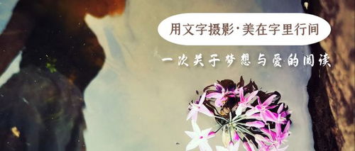 梦境解析，面对失去与重生的隐喻