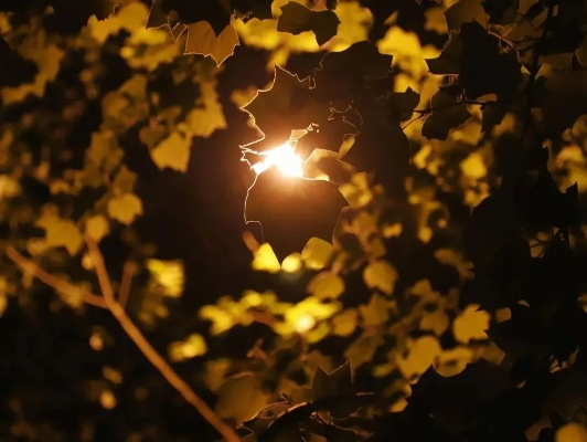 凌晨梦影,光与尖叫的静谧之谜 凌晨梦影,光与尖叫的静谧之谜