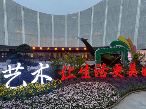 梦境解析，昨天晚上梦见了很多大便——梦见大便是好还是坏？