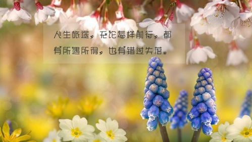 梦见活着的爸爸去世，梦境与现实交织的深层含义