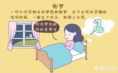 孕期梦境与现实的交织，为何频繁梦见B超结果是女孩？
