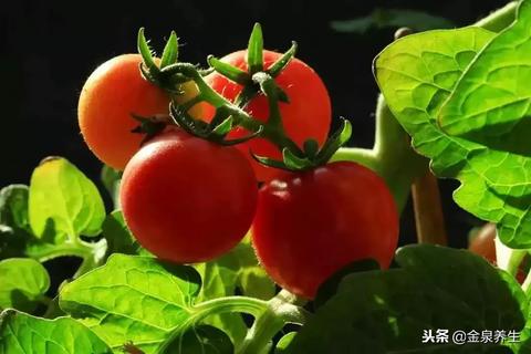 高手解梦，梦见挑西红柿和摘桃子的深层寓意