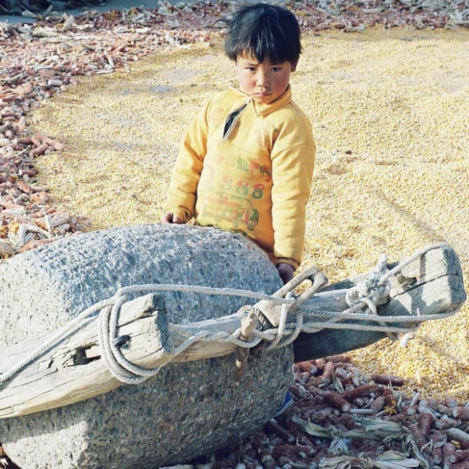 梦境解析，婶婶梦中蛇语缠绕的深层含义