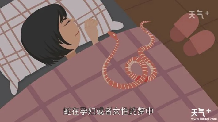 备孕梦境启示录，小黄蛇追逐下的心灵预兆