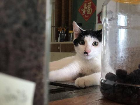 梦见拉屎在被子上意味着什么，一场梦境的深层解析