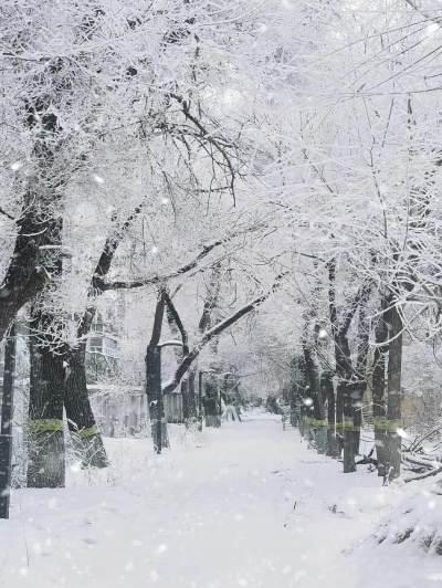 梦境中的银装素裹——我梦见下雪了