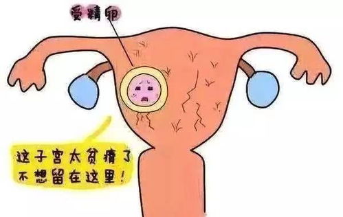 男性梦境中的孕育象征，解析换工作期频繁梦境中的女人怀孕意象