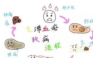 梦见自己月经来了流很多血到处都是，解读梦境中的深层含义与心理暗示