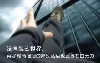 梦见律师给自己打电话，解析梦境背后的深层含义与潜在启示