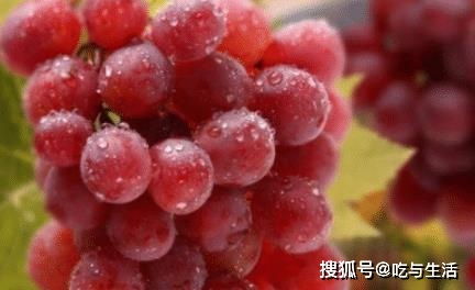 梦见上面假牙整排连在一起掉了，何解？本人没有假牙的呀