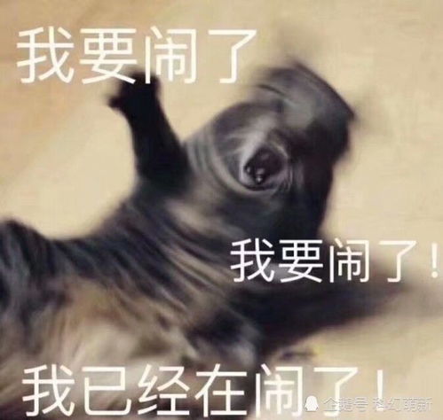 为什么我男朋友总是梦到我死了呢？——探索梦境背后的深层含义与情感纽带