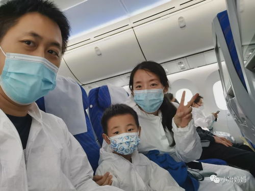 梦境解析，与金龙共舞的奇妙之旅