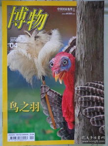 梦境解析，蛇、老鼠与未知动物的隐秘交锋