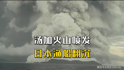 梦见打蛇蛇血喷到脚上，潜意识中的警示与内心冲突的解析