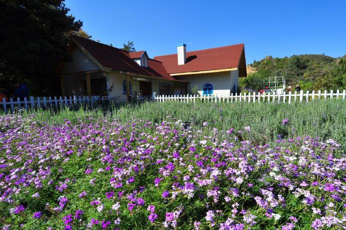2014年的雪，梦境中的雨与雪的交织