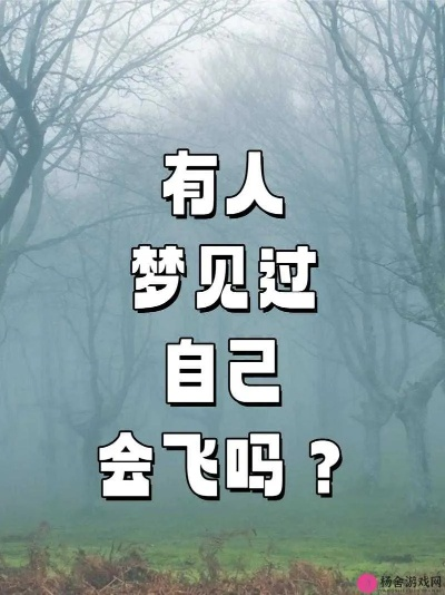 做梦梦见在银行偷了26000，解读梦境背后的深层含义