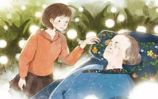 父亲离世后的梦境启示，生命与传承的深刻对话
