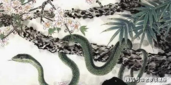 田间蛇影与栽秧之梦，解析连续两日的蛇梦及其深层含义