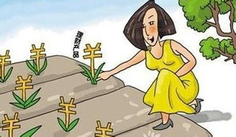 梦见自己杀猪，探索梦境背后的深层含义与启示